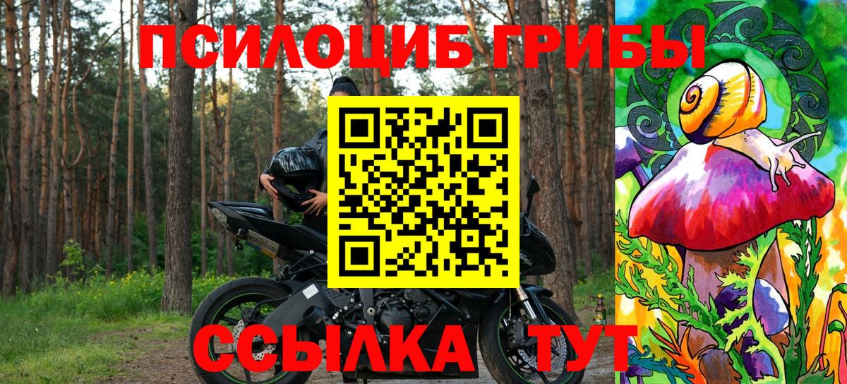 Казань  Галлюциногенные грибы прущие грибы  Псилоцибиновые грибы MAGIC MUSHROOMS  Вход с VPN 